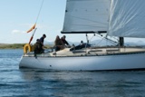 windthrift 9602y whyw22 sun 800_2483yi